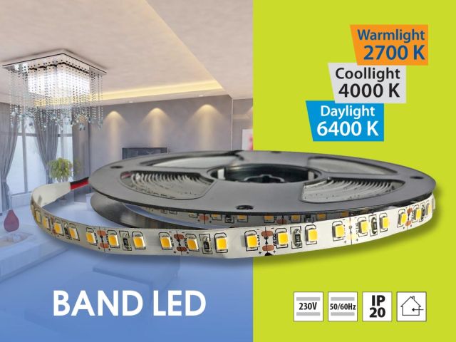 New economical LED strips BAND LED 120 SMD2835 5 m