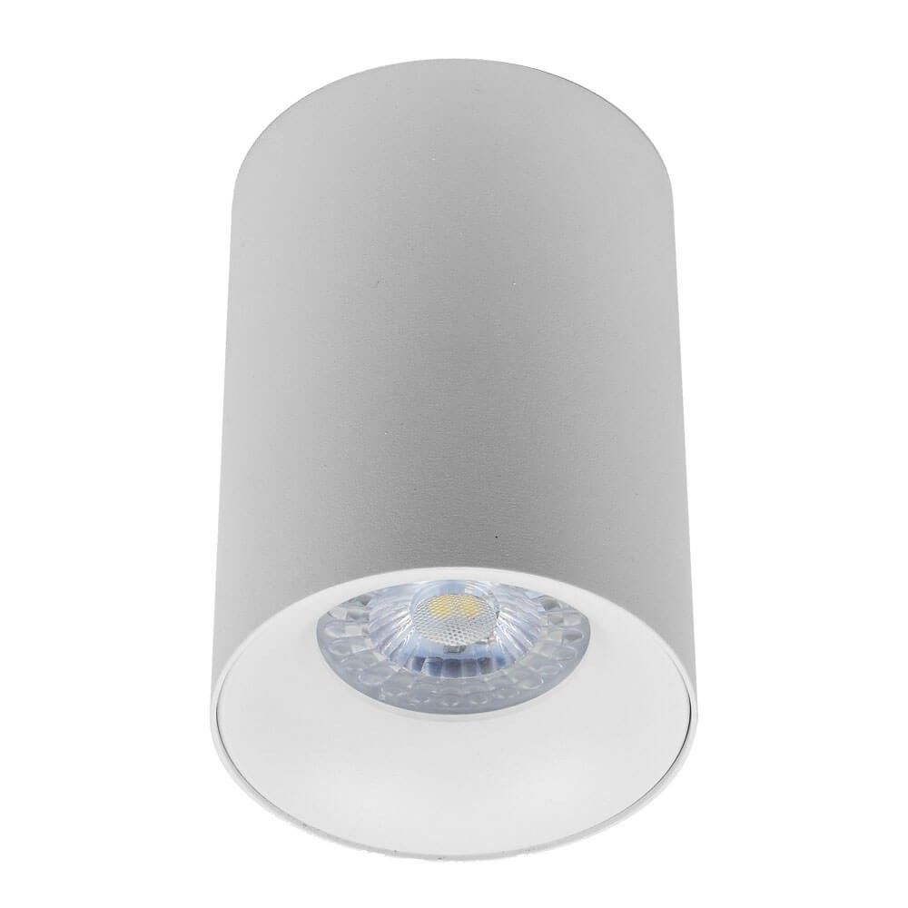 Surface mounted downlight NEVILS ∙ DL701 ∙ white