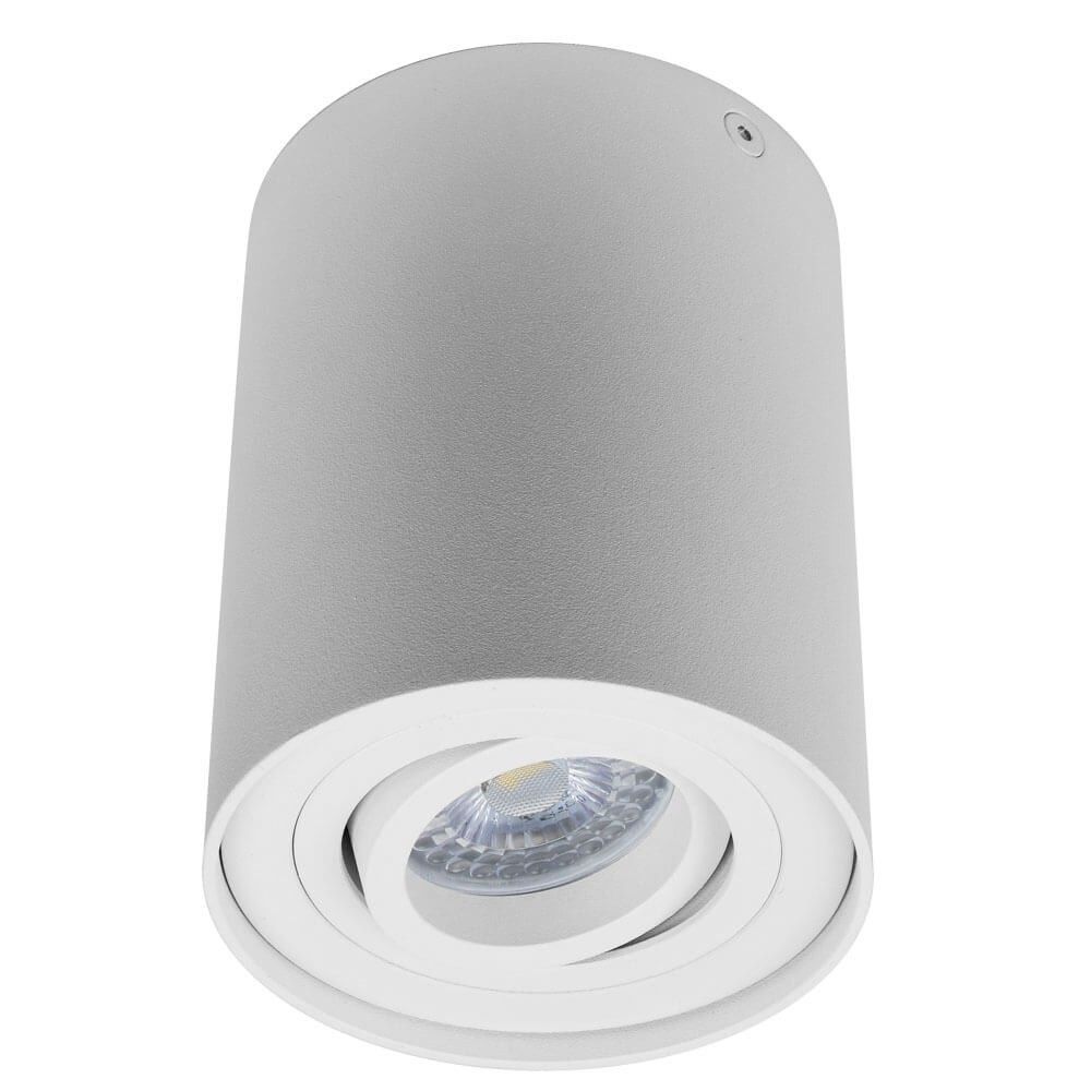 Surface mounted downlight TOLEDO ∙ DL700 ∙ white